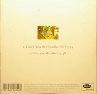 THIS PERFECT DAY Cant You See Snap Records ‎SNAPC 22 Sweden 1993 2trx Card Singl