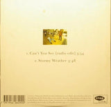 THIS PERFECT DAY Cant You See Snap Records ‎SNAPC 22 Sweden 1993 2trx Card Singl