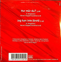 PAGE Hur Mar Du? 2tr Pool Sounds ‎– 751591 Sweden 1996 Cardboard CD Single - __ATONAL__