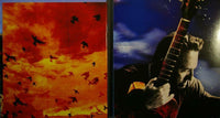 SPRINGSTEEN - BRUCE SPRINGSTEEN Working On A Dream Columbia ‎88697 46242 2 2009 EU Card CD DVD - atonal.se