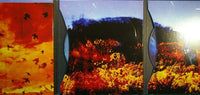 SPRINGSTEEN - BRUCE SPRINGSTEEN Working On A Dream Columbia ‎88697 46242 2 2009 EU Card CD DVD - atonal.se