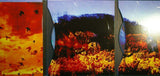 SPRINGSTEEN - BRUCE SPRINGSTEEN Working On A Dream Columbia ‎88697 46242 2 2009 EU Card CD DVD - atonal.se