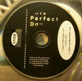 THIS PERFECT DAY Cant You See Snap Records ‎SNAPC 22 Sweden 1993 2trx Card Singl - __ATONAL__